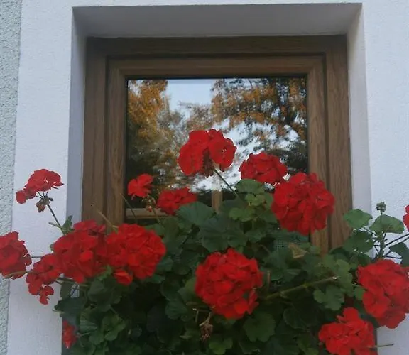 Haus Schober Apartment